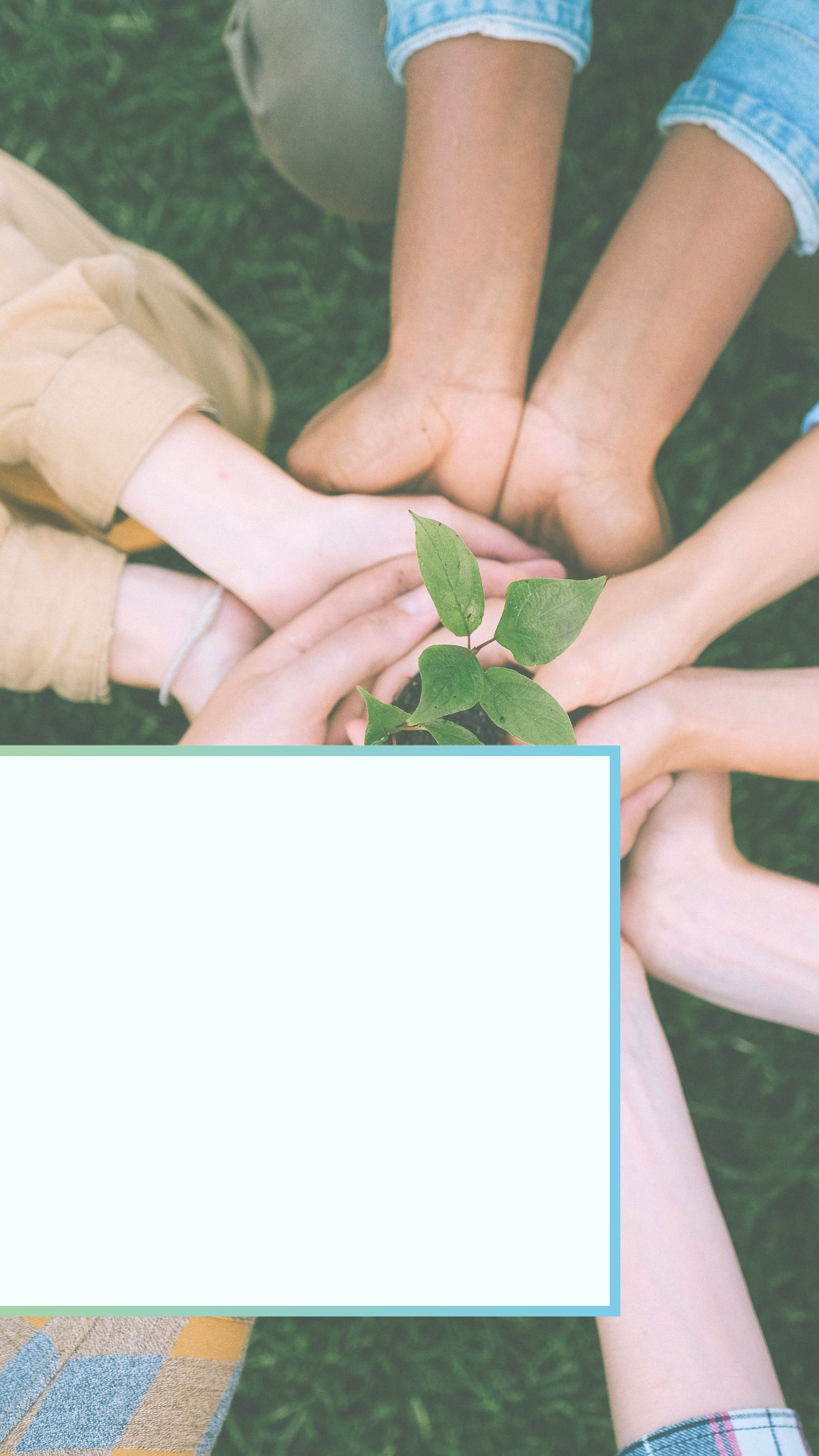Hintergrund Story Gemeinschaft & Engagement mit vielen Händen, die gemeinsam eine Pflanze halten